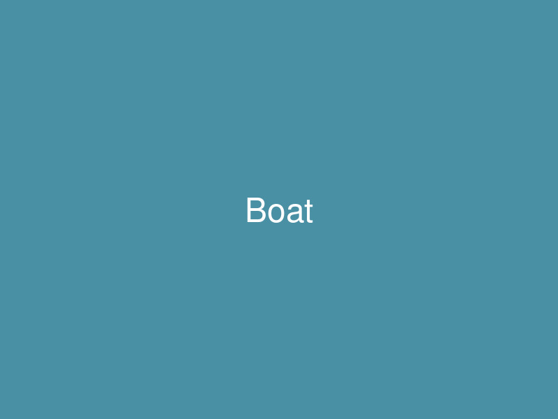 Båten